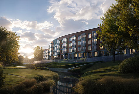 Цвет Зеленогорска