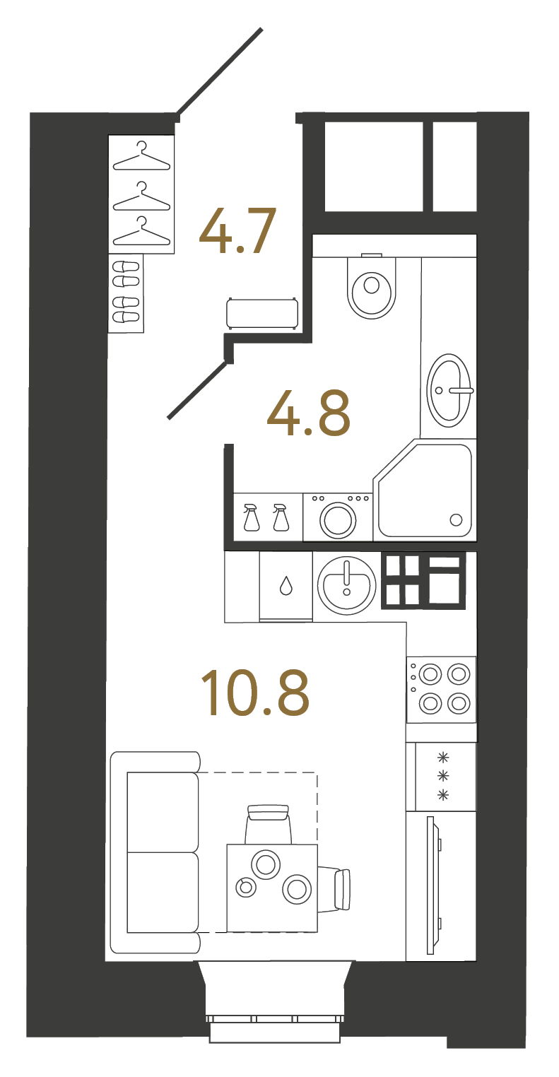 Студия 20.3 м²