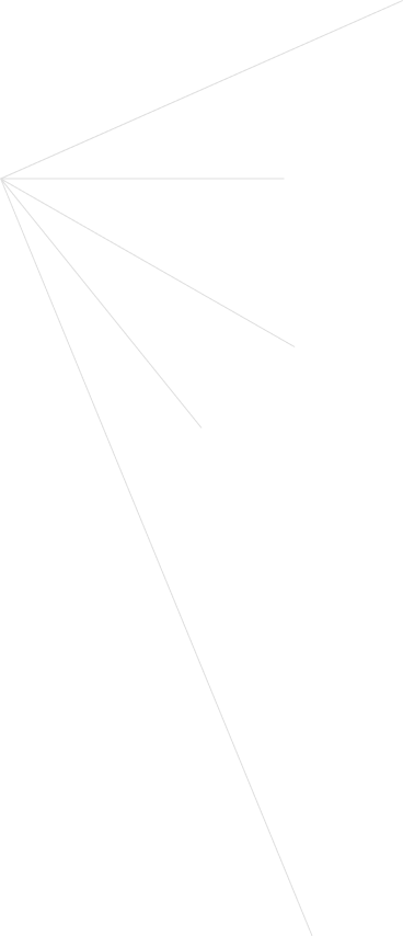 svetoch