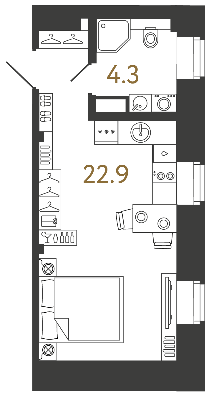 Однокомнатный номер 27.2 м²